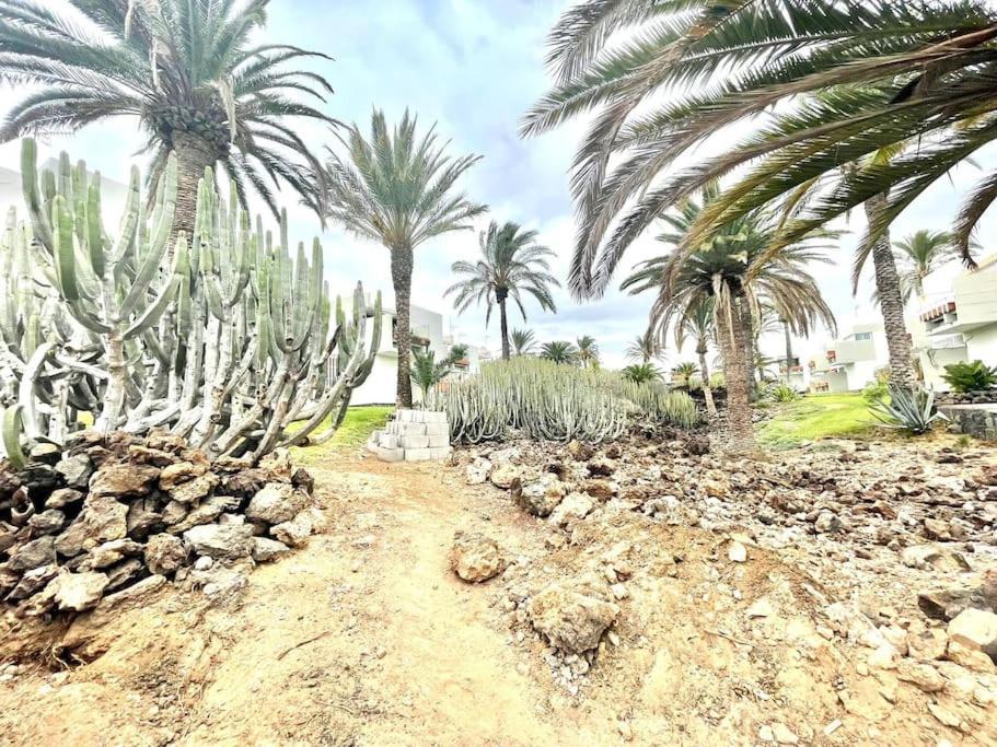 Apartamento Con Piscina Sur De Tenerife コスタ・デル・シレンチオ エクステリア 写真